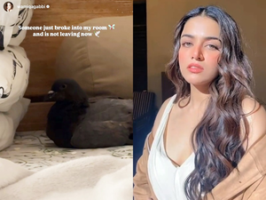 Wamiqa Gabbi says ‘someone broke into’ her room | Wamiqa Gabbi says ‘someone broke into’ her room Wamiqa Gabbi says ‘someone broke into’ her room | Wamiqa Gabbi says ‘someone broke into’ her room