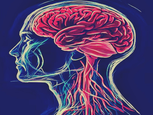 Clot-busting meds can boost stroke patients' recovery by over 50 pc: Study | Clot-busting meds can boost stroke patients' recovery by over 50 pc: Study Clot-busting meds can boost stroke patients' recovery by over 50 pc: Study | Clot-busting meds can boost stroke patients' recovery by over 50 pc: Study