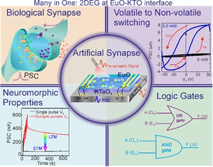 INST’s new artificial synaptic chip to help transform information tech | INST’s new artificial synaptic chip to help transform information tech INST’s new artificial synaptic chip to help transform information tech | INST’s new artificial synaptic chip to help transform information tech