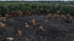 Brazil's capital breaks record for longest drought of 164 days | Brazil's capital breaks record for longest drought of 164 days Brazil's capital breaks record for longest drought of 164 days | Brazil's capital breaks record for longest drought of 164 days
