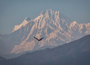 870 climbers allowed to scale 37 peaks in Nepal | 870 climbers allowed to scale 37 peaks in Nepal 870 climbers allowed to scale 37 peaks in Nepal | 870 climbers allowed to scale 37 peaks in Nepal