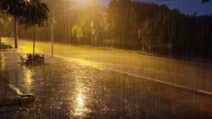 Chennai School Holiday: Schools Closed Due to Heavy Rain on November 12, Colleges to Remain Open | Chennai School Holiday: Schools Closed Due to Heavy Rain on November 12, Colleges to Remain Open Chennai School Holiday: Schools Closed Due to Heavy Rain on November 12, Colleges to Remain Open | Chennai School Holiday: Schools Closed Due to Heavy Rain on November 12, Colleges to Remain Open