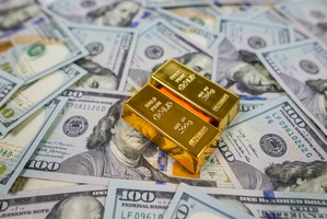 India’s forex kitty surges to 5-month high at $665.4 billion | India’s forex kitty surges to 5-month high at $665.4 billion India’s forex kitty surges to 5-month high at $665.4 billion | India’s forex kitty surges to 5-month high at $665.4 billion