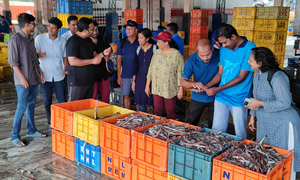 CMFRI organises 'Fish Walk' to learn about diverse wonders of marine life | CMFRI organises 'Fish Walk' to learn about diverse wonders of marine life CMFRI organises 'Fish Walk' to learn about diverse wonders of marine life | CMFRI organises 'Fish Walk' to learn about diverse wonders of marine life