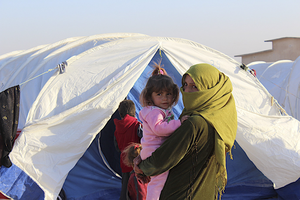 Jordan evacuates 12 more citizens from Lebanon | Jordan evacuates 12 more citizens from Lebanon Jordan evacuates 12 more citizens from Lebanon | Jordan evacuates 12 more citizens from Lebanon