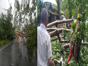 Odisha: Damages caused by Cyclone Dana stand around Rs 600 cr | Odisha: Damages caused by Cyclone Dana stand around Rs 600 cr Odisha: Damages caused by Cyclone Dana stand around Rs 600 cr | Odisha: Damages caused by Cyclone Dana stand around Rs 600 cr