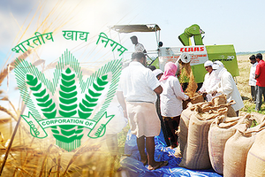 Centre to launch Depot Darpan portal on May 20 to ensure food storage quality | Centre to launch Depot Darpan portal on May 20 to ensure food storage quality Centre to launch Depot Darpan portal on May 20 to ensure food storage quality | Centre to launch Depot Darpan portal on May 20 to ensure food storage quality