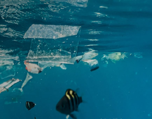 WEF 2025: 25 countries unite to fight against global plastic pollution, climate change | WEF 2025: 25 countries unite to fight against global plastic pollution, climate change