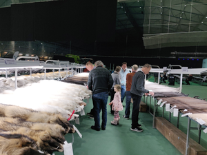 Fur farming poses pandemic risk: Finnish health authority | Fur farming poses pandemic risk: Finnish health authority Fur farming poses pandemic risk: Finnish health authority | Fur farming poses pandemic risk: Finnish health authority