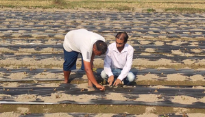 J&K: Villager Ashwini Kumar inspires fellow farmers with strawberry farming | J&K: Villager Ashwini Kumar inspires fellow farmers with strawberry farming J&K: Villager Ashwini Kumar inspires fellow farmers with strawberry farming | J&K: Villager Ashwini Kumar inspires fellow farmers with strawberry farming