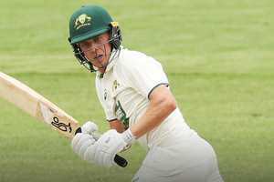 Ryan Harris backs McSweeney for Test comeback after tough summer | Ryan Harris backs McSweeney for Test comeback after tough summer