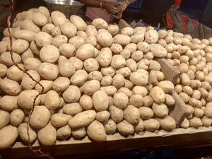 Potato prices in Bengal retail markets likely to rise as traders threaten strike | Potato prices in Bengal retail markets likely to rise as traders threaten strike Potato prices in Bengal retail markets likely to rise as traders threaten strike | Potato prices in Bengal retail markets likely to rise as traders threaten strike