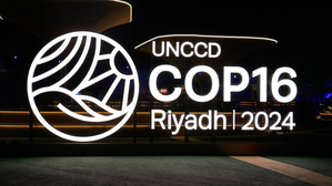 Haryana delegation departs for COP-16 international conference | Haryana delegation departs for COP-16 international conference Haryana delegation departs for COP-16 international conference | Haryana delegation departs for COP-16 international conference