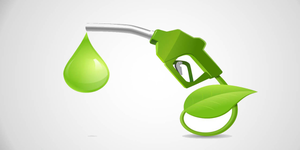 20 pc ethanol-blended petrol: No major issues with vehicle performance, says govt | 20 pc ethanol-blended petrol: No major issues with vehicle performance, says govt 20 pc ethanol-blended petrol: No major issues with vehicle performance, says govt | 20 pc ethanol-blended petrol: No major issues with vehicle performance, says govt