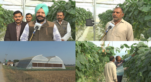 Polyhouse farming transforms farmers' lives in J&K's Samba | Polyhouse farming transforms farmers' lives in J&K's Samba Polyhouse farming transforms farmers' lives in J&K's Samba | Polyhouse farming transforms farmers' lives in J&K's Samba