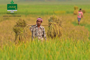 Centre lists 10 more agricultural goods for e-NAM trade to help farmers get higher prices | Centre lists 10 more agricultural goods for e-NAM trade to help farmers get higher prices