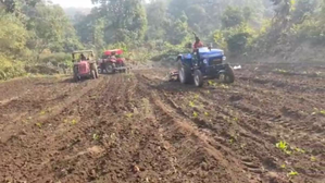 Jharkhand Police destroy over 100 acres of opium cultivation in 15 days | Jharkhand Police destroy over 100 acres of opium cultivation in 15 days Jharkhand Police destroy over 100 acres of opium cultivation in 15 days | Jharkhand Police destroy over 100 acres of opium cultivation in 15 days