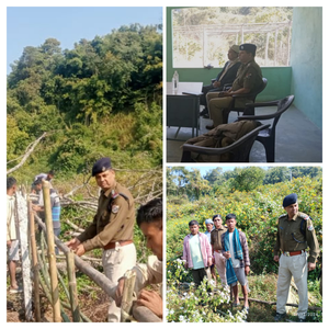 Northeast Frontier Railway's steps to safeguard railway tracks from cattle intrusion | Northeast Frontier Railway's steps to safeguard railway tracks from cattle intrusion Northeast Frontier Railway's steps to safeguard railway tracks from cattle intrusion | Northeast Frontier Railway's steps to safeguard railway tracks from cattle intrusion