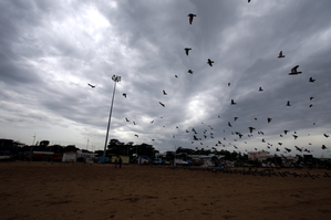 Heavy rain alert for TN's Delta districts, Collectors asked to take precautions | Heavy rain alert for TN's Delta districts, Collectors asked to take precautions Heavy rain alert for TN's Delta districts, Collectors asked to take precautions | Heavy rain alert for TN's Delta districts, Collectors asked to take precautions