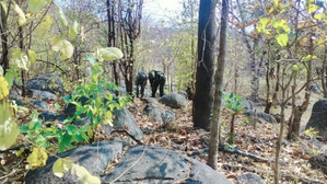 Two Maoists including a woman killed in encounter in Jharkhand’s Bokaro | Two Maoists including a woman killed in encounter in Jharkhand’s Bokaro Two Maoists including a woman killed in encounter in Jharkhand’s Bokaro | Two Maoists including a woman killed in encounter in Jharkhand’s Bokaro