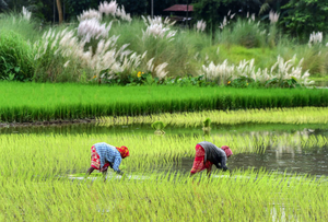 Farm and rural workers get respite as inflation burden eases further in March | Farm and rural workers get respite as inflation burden eases further in March