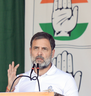 Rahul Gandhi to hold rally in MP's Mhow today | Rahul Gandhi to hold rally in MP's Mhow today Rahul Gandhi to hold rally in MP's Mhow today | Rahul Gandhi to hold rally in MP's Mhow today