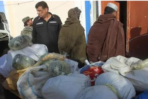 10.5 tonnes of illicit drugs destroyed in Afghanistan's Bamiyan | 10.5 tonnes of illicit drugs destroyed in Afghanistan's Bamiyan