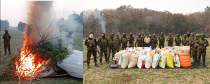 Assam Rifles, Tripura Police seize drugs worth Rs 6 crore | Assam Rifles, Tripura Police seize drugs worth Rs 6 crore Assam Rifles, Tripura Police seize drugs worth Rs 6 crore | Assam Rifles, Tripura Police seize drugs worth Rs 6 crore