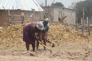 World Bank warns Zimbabwe on climate-induced economic losses | World Bank warns Zimbabwe on climate-induced economic losses World Bank warns Zimbabwe on climate-induced economic losses | World Bank warns Zimbabwe on climate-induced economic losses