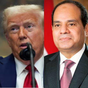 US, Egyptian presidents discuss Gaza ceasefire over phone | US, Egyptian presidents discuss Gaza ceasefire over phone US, Egyptian presidents discuss Gaza ceasefire over phone | US, Egyptian presidents discuss Gaza ceasefire over phone