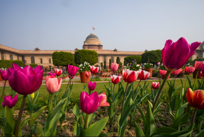 Amrit Udyan at Rashtrapati Bhawan opens for public viewing | Amrit Udyan at Rashtrapati Bhawan opens for public viewing Amrit Udyan at Rashtrapati Bhawan opens for public viewing | Amrit Udyan at Rashtrapati Bhawan opens for public viewing