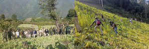 Manipur Police destroy 25 acres of poppy cultivation | Manipur Police destroy 25 acres of poppy cultivation Manipur Police destroy 25 acres of poppy cultivation | Manipur Police destroy 25 acres of poppy cultivation