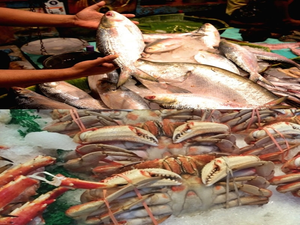 India doubles seafood exports in 10 years to Rs 60,524cr; eyes Rs 1.56 lakh cr target by 2030 | India doubles seafood exports in 10 years to Rs 60,524cr; eyes Rs 1.56 lakh cr target by 2030 India doubles seafood exports in 10 years to Rs 60,524cr; eyes Rs 1.56 lakh cr target by 2030 | India doubles seafood exports in 10 years to Rs 60,524cr; eyes Rs 1.56 lakh cr target by 2030