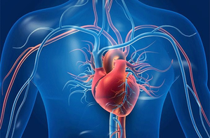 Later-onset menopause may lower heart disease risk: Study | Later-onset menopause may lower heart disease risk: Study Later-onset menopause may lower heart disease risk: Study | Later-onset menopause may lower heart disease risk: Study
