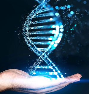 ‘Genome India’ ensured equitable representation from rural, urban, tribal populations: Minister | ‘Genome India’ ensured equitable representation from rural, urban, tribal populations: Minister ‘Genome India’ ensured equitable representation from rural, urban, tribal populations: Minister | ‘Genome India’ ensured equitable representation from rural, urban, tribal populations: Minister