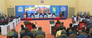 African leaders call for peaceful solution to conflict in DR Congo | African leaders call for peaceful solution to conflict in DR Congo