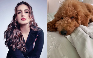 Huma Qureshi ads a furry friend to her family: Meet Toosh Qureshi | Huma Qureshi ads a furry friend to her family: Meet Toosh Qureshi Huma Qureshi ads a furry friend to her family: Meet Toosh Qureshi | Huma Qureshi ads a furry friend to her family: Meet Toosh Qureshi