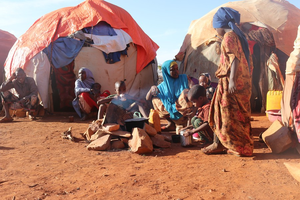 Somalia, UN launch 95 million USD project to tackle climate change challenges | Somalia, UN launch 95 million USD project to tackle climate change challenges Somalia, UN launch 95 million USD project to tackle climate change challenges | Somalia, UN launch 95 million USD project to tackle climate change challenges