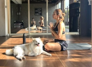 Malaika celebrates 10 years of her ‘most handsome’ pet Casper: The centre of our lives | Malaika celebrates 10 years of her ‘most handsome’ pet Casper: The centre of our lives Malaika celebrates 10 years of her ‘most handsome’ pet Casper: The centre of our lives | Malaika celebrates 10 years of her ‘most handsome’ pet Casper: The centre of our lives