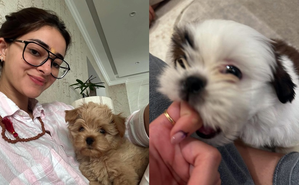 Ananya Panday enjoys some 'puppy love' as she spends time with her furry friends | Ananya Panday enjoys some 'puppy love' as she spends time with her furry friends Ananya Panday enjoys some 'puppy love' as she spends time with her furry friends | Ananya Panday enjoys some 'puppy love' as she spends time with her furry friends