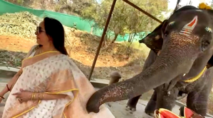 Hema Malini enjoys an adorable encounter with a baby elephant | Hema Malini enjoys an adorable encounter with a baby elephant Hema Malini enjoys an adorable encounter with a baby elephant | Hema Malini enjoys an adorable encounter with a baby elephant
