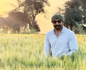 Sunny Deol prepares for Baisakhi in the fields, embraces his 'Jaat' roots | Sunny Deol prepares for Baisakhi in the fields, embraces his 'Jaat' roots Sunny Deol prepares for Baisakhi in the fields, embraces his 'Jaat' roots | Sunny Deol prepares for Baisakhi in the fields, embraces his 'Jaat' roots