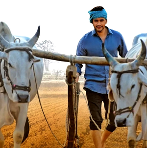 Editor K L Praveen calls Mahesh Babu’s ‘Maharishi’ ‘a cinematic masterpiece’ | Editor K L Praveen calls Mahesh Babu’s ‘Maharishi’ ‘a cinematic masterpiece’ Editor K L Praveen calls Mahesh Babu’s ‘Maharishi’ ‘a cinematic masterpiece’ | Editor K L Praveen calls Mahesh Babu’s ‘Maharishi’ ‘a cinematic masterpiece’