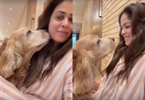 Genelia celebrates 11 years of her fur baby: Thank you for choosing me to be your Aai | Genelia celebrates 11 years of her fur baby: Thank you for choosing me to be your Aai Genelia celebrates 11 years of her fur baby: Thank you for choosing me to be your Aai | Genelia celebrates 11 years of her fur baby: Thank you for choosing me to be your Aai