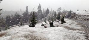 Snowfall in higher reaches of Kashmir, rain in plains | Snowfall in higher reaches of Kashmir, rain in plains Snowfall in higher reaches of Kashmir, rain in plains | Snowfall in higher reaches of Kashmir, rain in plains