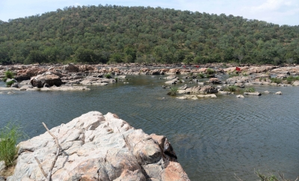 K’taka govt demands clarity on Mekedatu project from Centre | K’taka govt demands clarity on Mekedatu project from Centre K’taka govt demands clarity on Mekedatu project from Centre | K’taka govt demands clarity on Mekedatu project from Centre