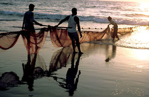 27 TN fishermen released from Sri Lankan prison, return home | 27 TN fishermen released from Sri Lankan prison, return home 27 TN fishermen released from Sri Lankan prison, return home | 27 TN fishermen released from Sri Lankan prison, return home