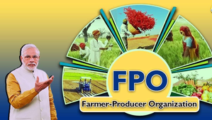 30 lakh farmers come on board Centre's FPO scheme to boost earnings | 30 lakh farmers come on board Centre's FPO scheme to boost earnings 30 lakh farmers come on board Centre's FPO scheme to boost earnings | 30 lakh farmers come on board Centre's FPO scheme to boost earnings