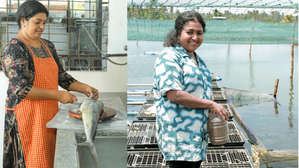 CMFRI to felicitate women entrepreneurs on International Women’s Day | CMFRI to felicitate women entrepreneurs on International Women’s Day CMFRI to felicitate women entrepreneurs on International Women’s Day | CMFRI to felicitate women entrepreneurs on International Women’s Day