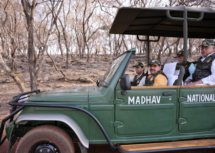MP: CM Yadav, Union Minister Scindia release tigress in Madhav National Park | MP: CM Yadav, Union Minister Scindia release tigress in Madhav National Park MP: CM Yadav, Union Minister Scindia release tigress in Madhav National Park | MP: CM Yadav, Union Minister Scindia release tigress in Madhav National Park